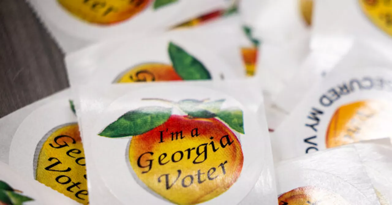 Georgia State Senate Runoff to Decide Beach's Replacement