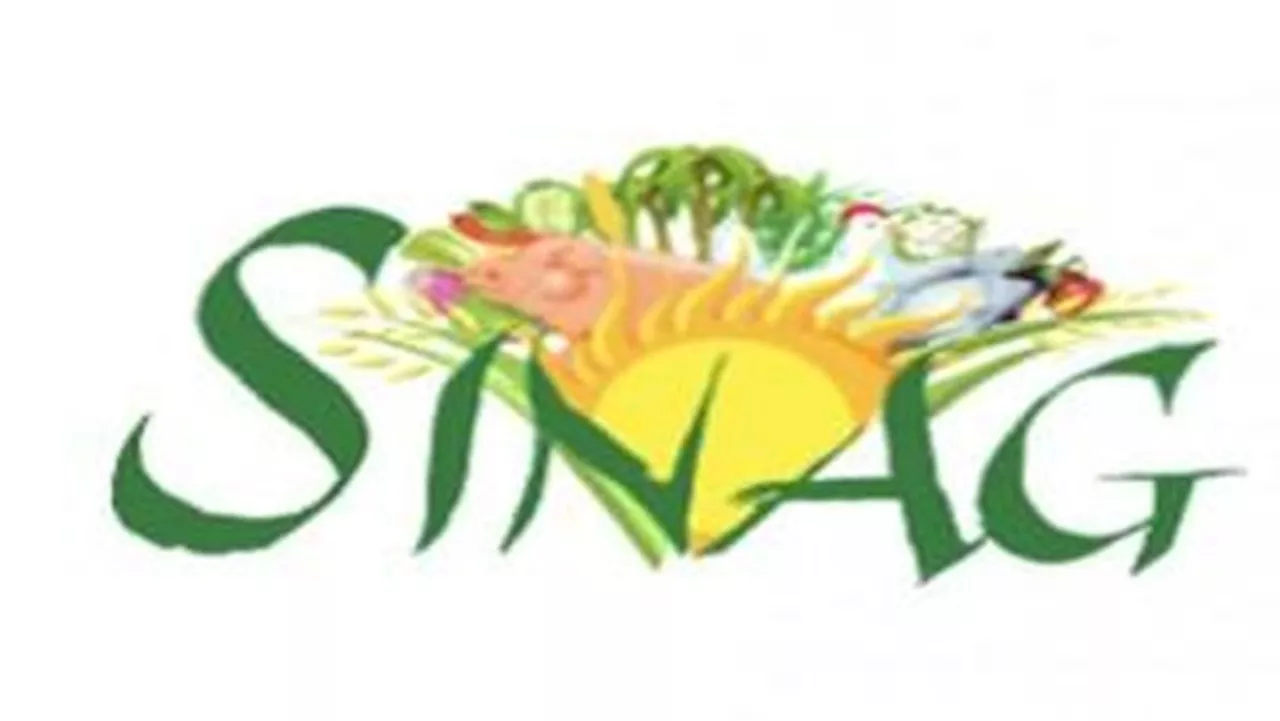 Agri group questions delay in fertilizer subsidy distribution