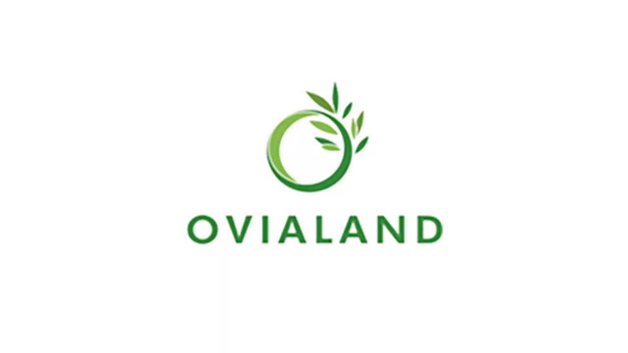Ovialand’s first-half income climbed 37% on strong sales