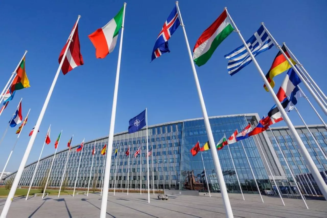NATO members to reach 2% defense spending goal this year
