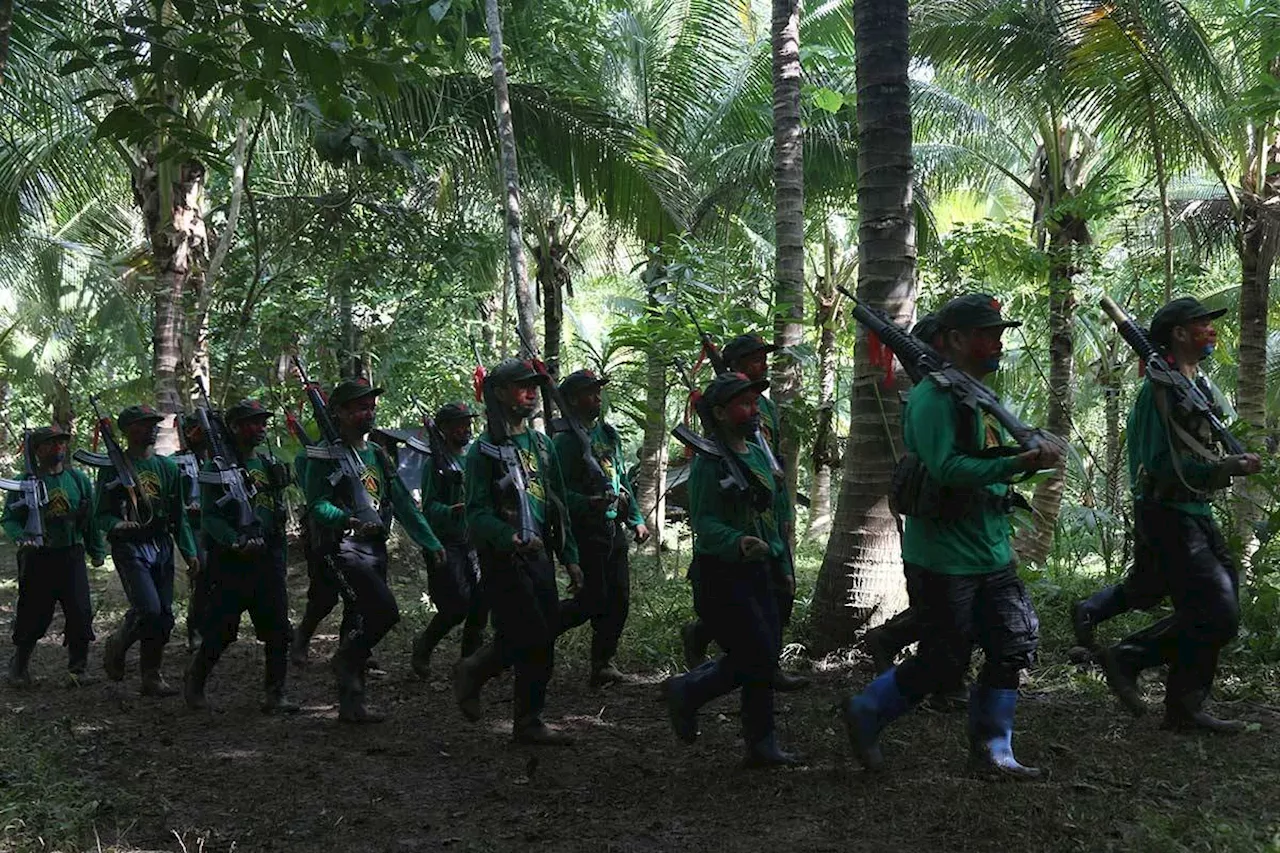 Two rebels killed in Northern Samar encounter
