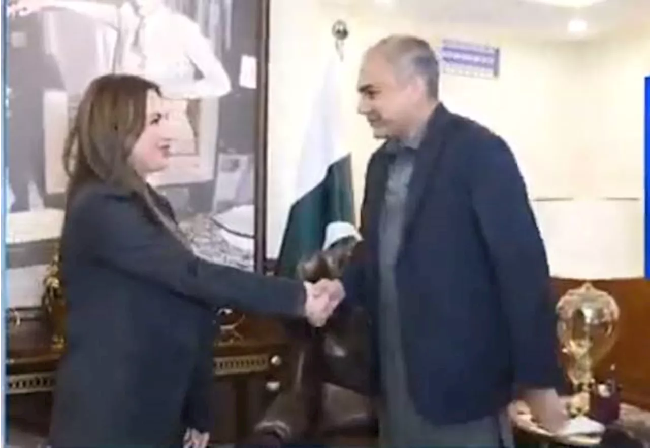 US envoy Baker meets Mohsin Naqvi; expresses sympathy over flood losses