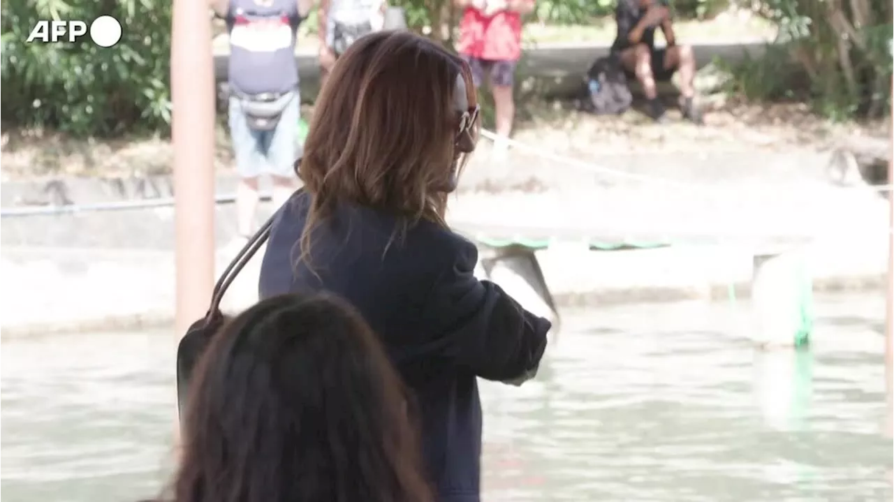 Venezia, l'arrivo di Julia Roberts e il cast di 'After the Hunt' al Lido