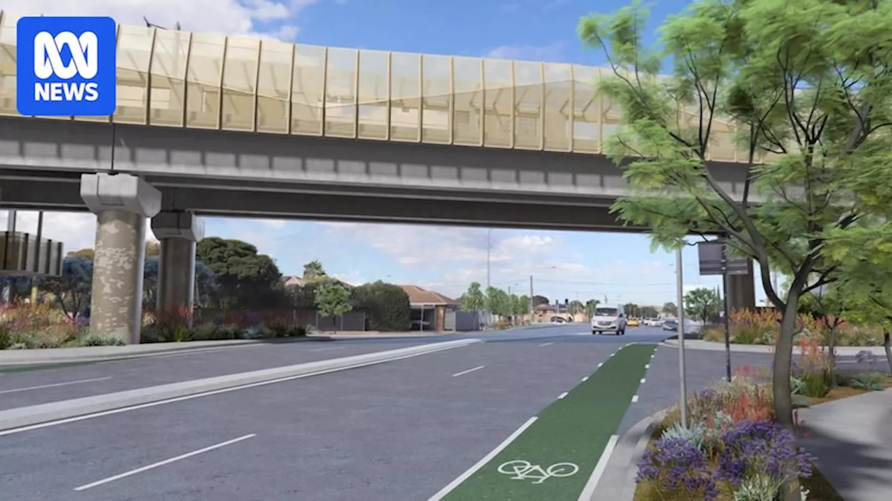 Glenelg trams are out of action amid Adelaide overpass work. Here's what to expect