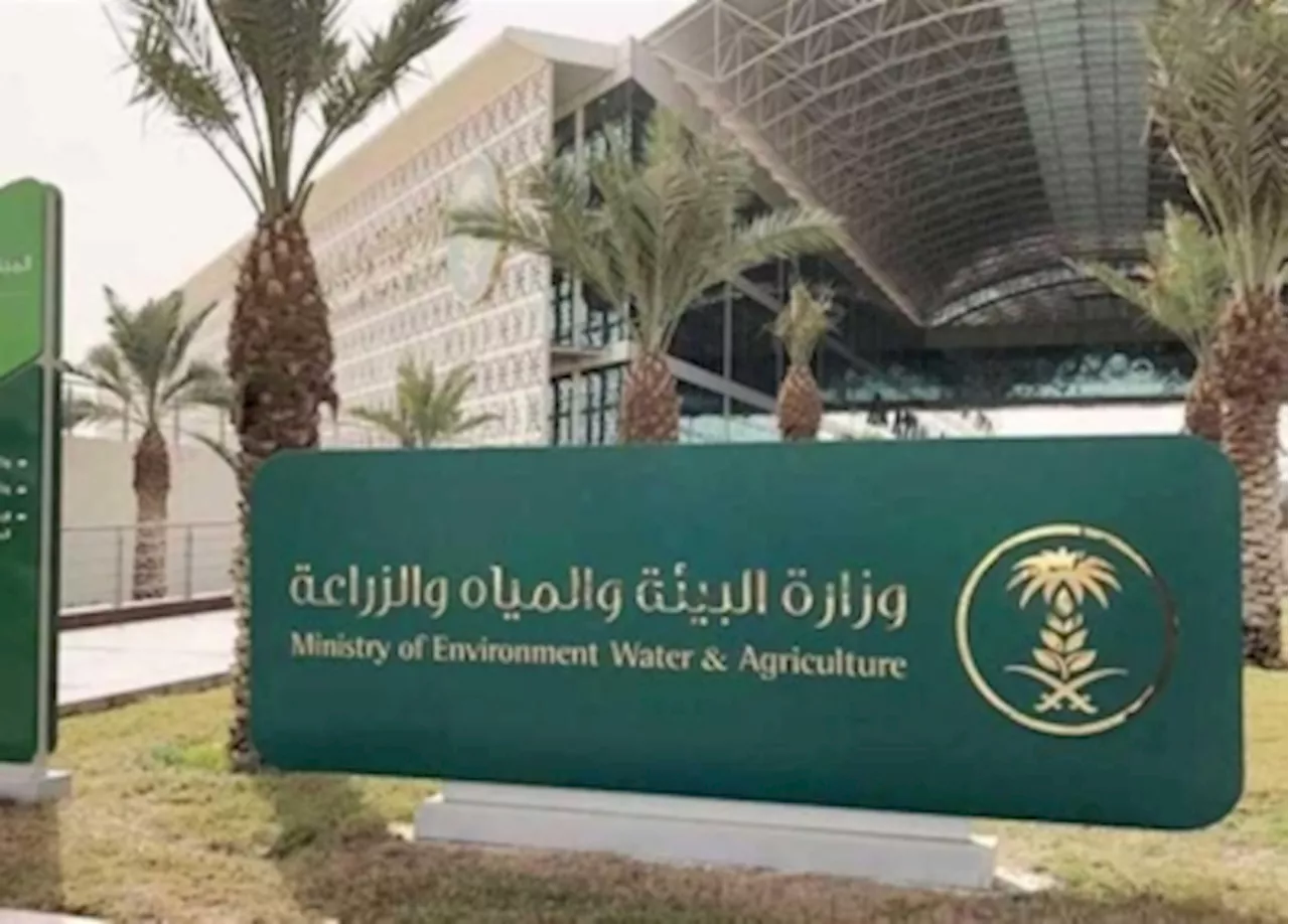 600 ألف لمخالفي ضوابط إعادة استخدام مياه الصرف