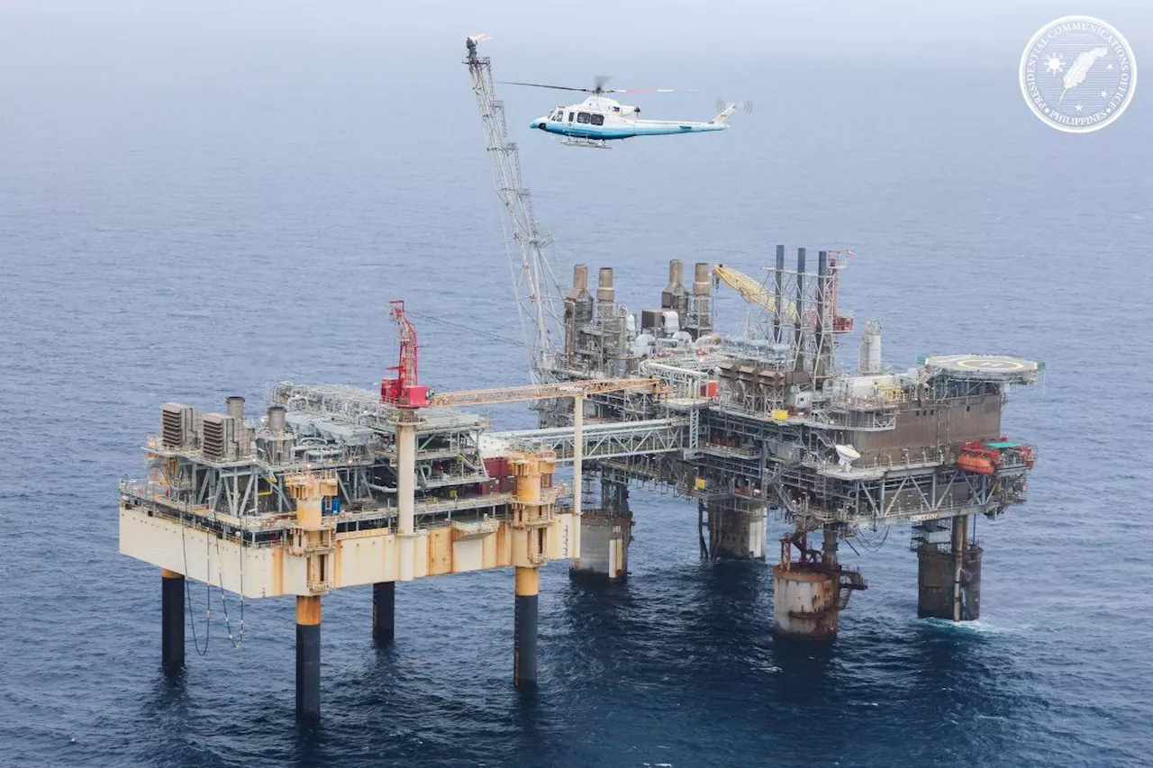 DOE’s Garin welcomes SC ruling on Malampaya profit share