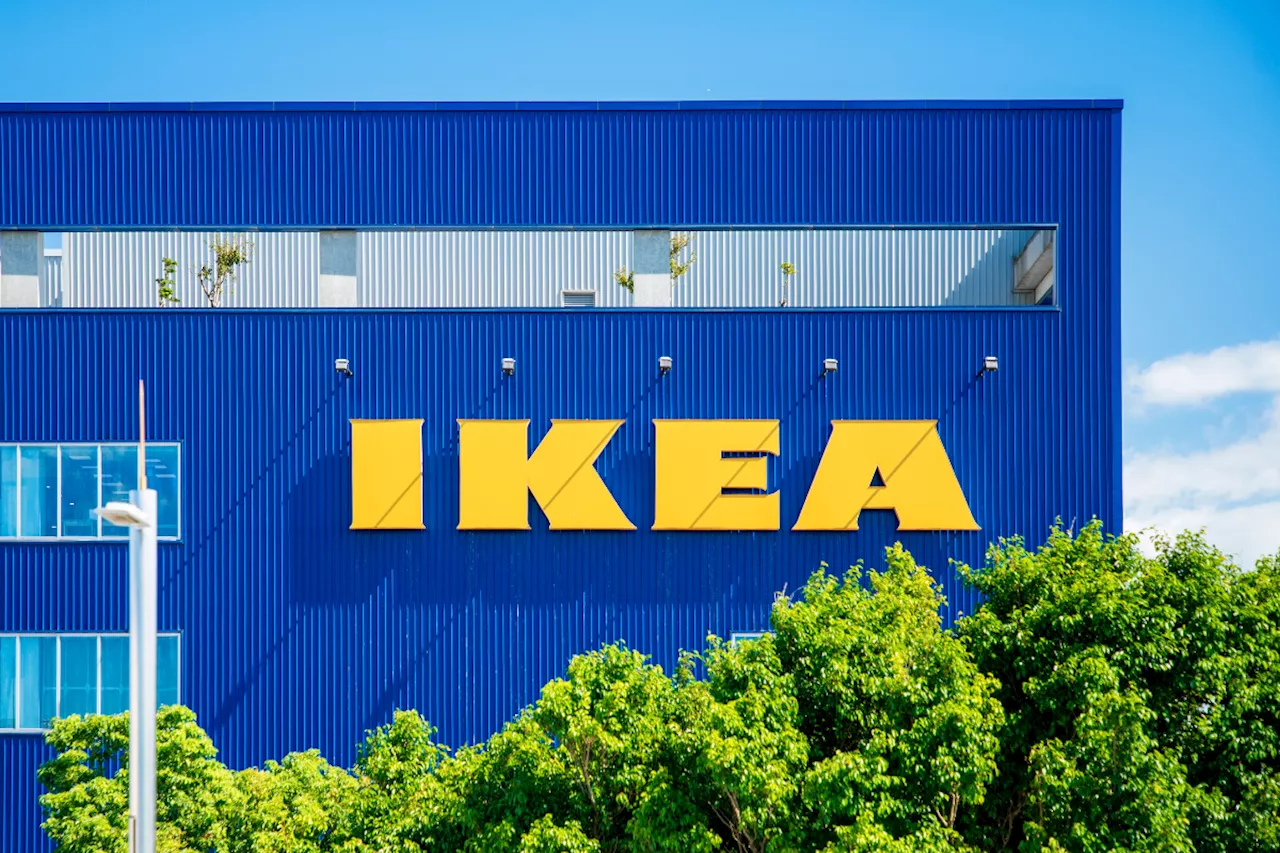 Say goodbye to nosy neighbours, IKEA's privacy screen will give you complete privacy