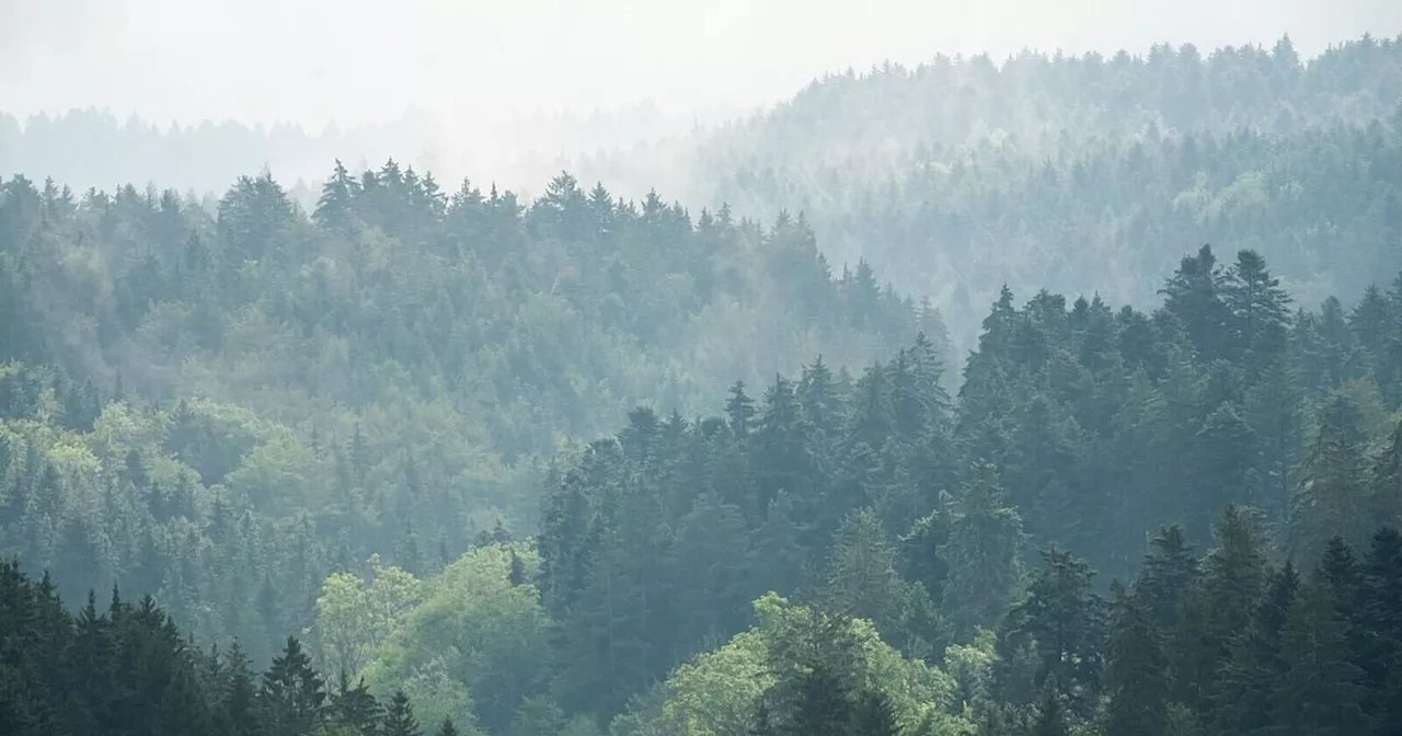 Tschüss Grau: Sonnigeres Wetter zur Wochenmitte