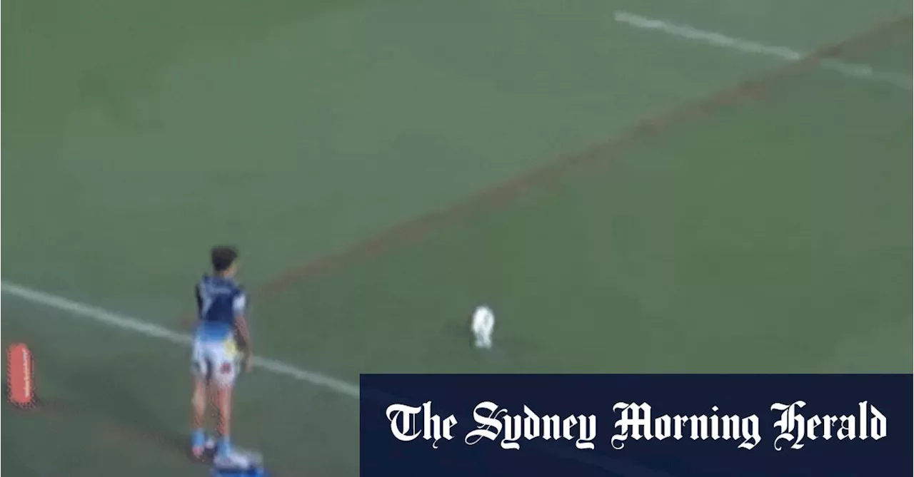 NRL to review trainer conduct as Penrith face fines and potential ban