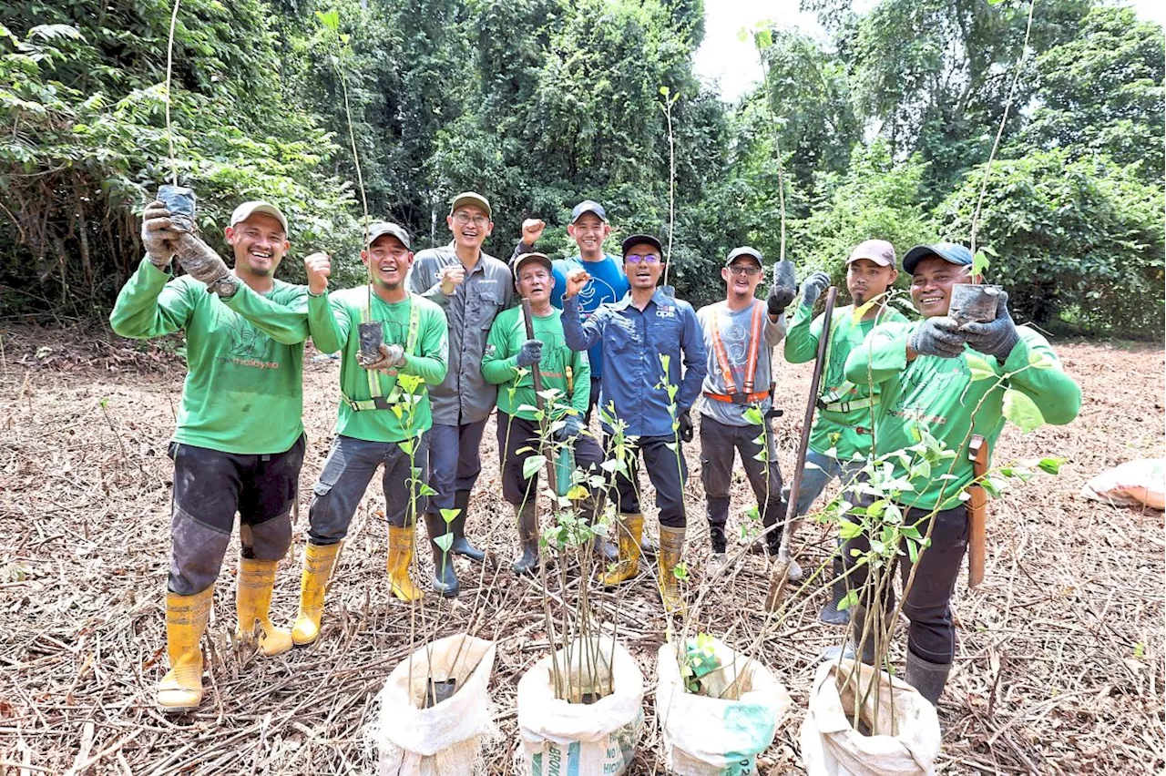 Going APE for the environment