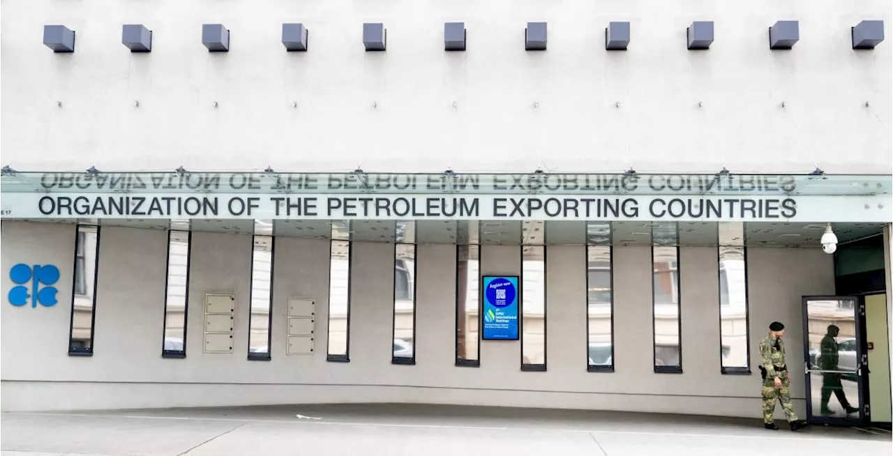 OPEC+ slated to increase oil output in bid to regain market share