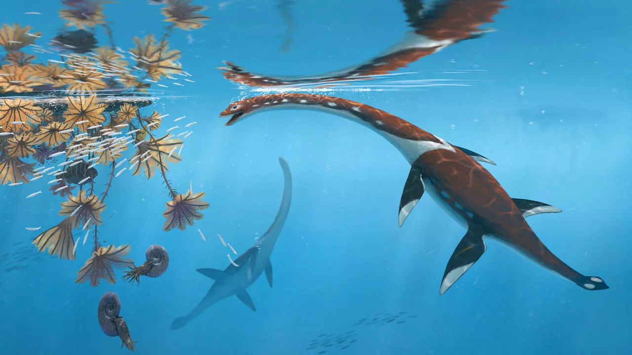 Dinosaurier: Forscher entdecken neuen Saurier