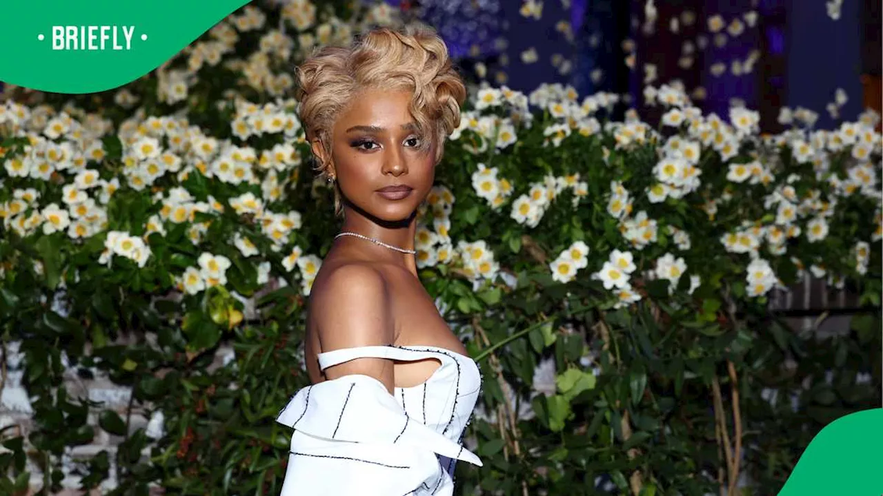 Netizens React As Tyla’s “Boyfriend” Is Allegedly Pulled In by Cops: “Tygers Hate Geo”