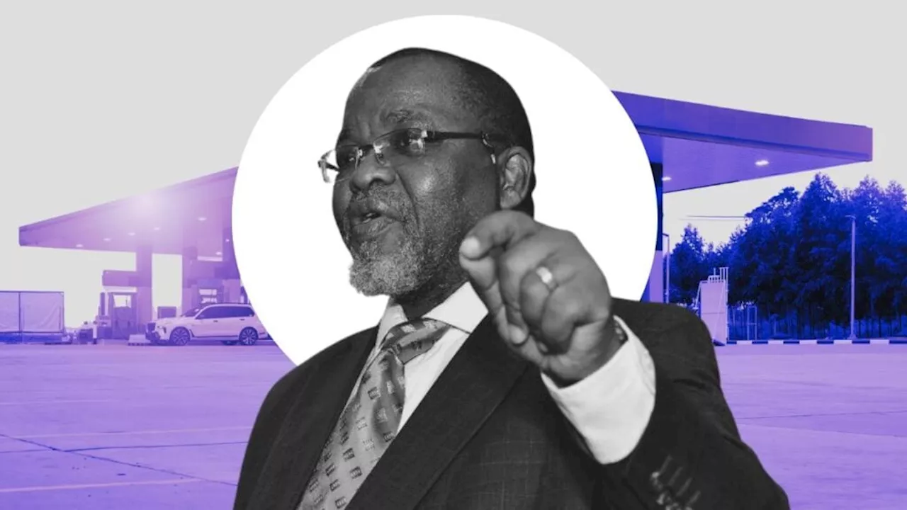 Mantashe’s warning to petrol stations across South Africa