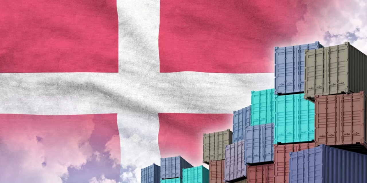 Kæmpe nedbrud hos Toldstyrelsen: Hele Danmarks eksport er blevet lammet - Dagens