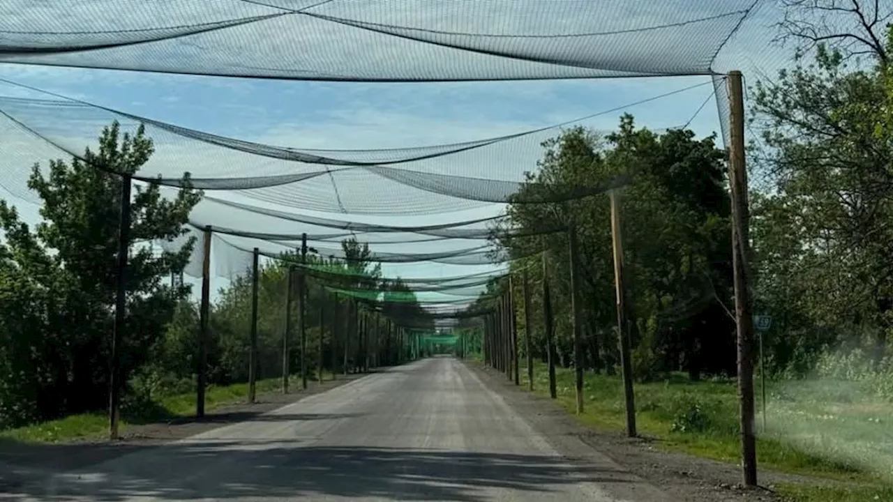 Fiskenet er blevet centralt i Ukraines forsvar mod Ruslands droner: Men dansk miljølov bremser flere leveringer