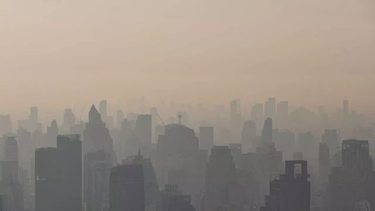 Exposure to Fine Particulate Matter a Risk Factor for SLE
