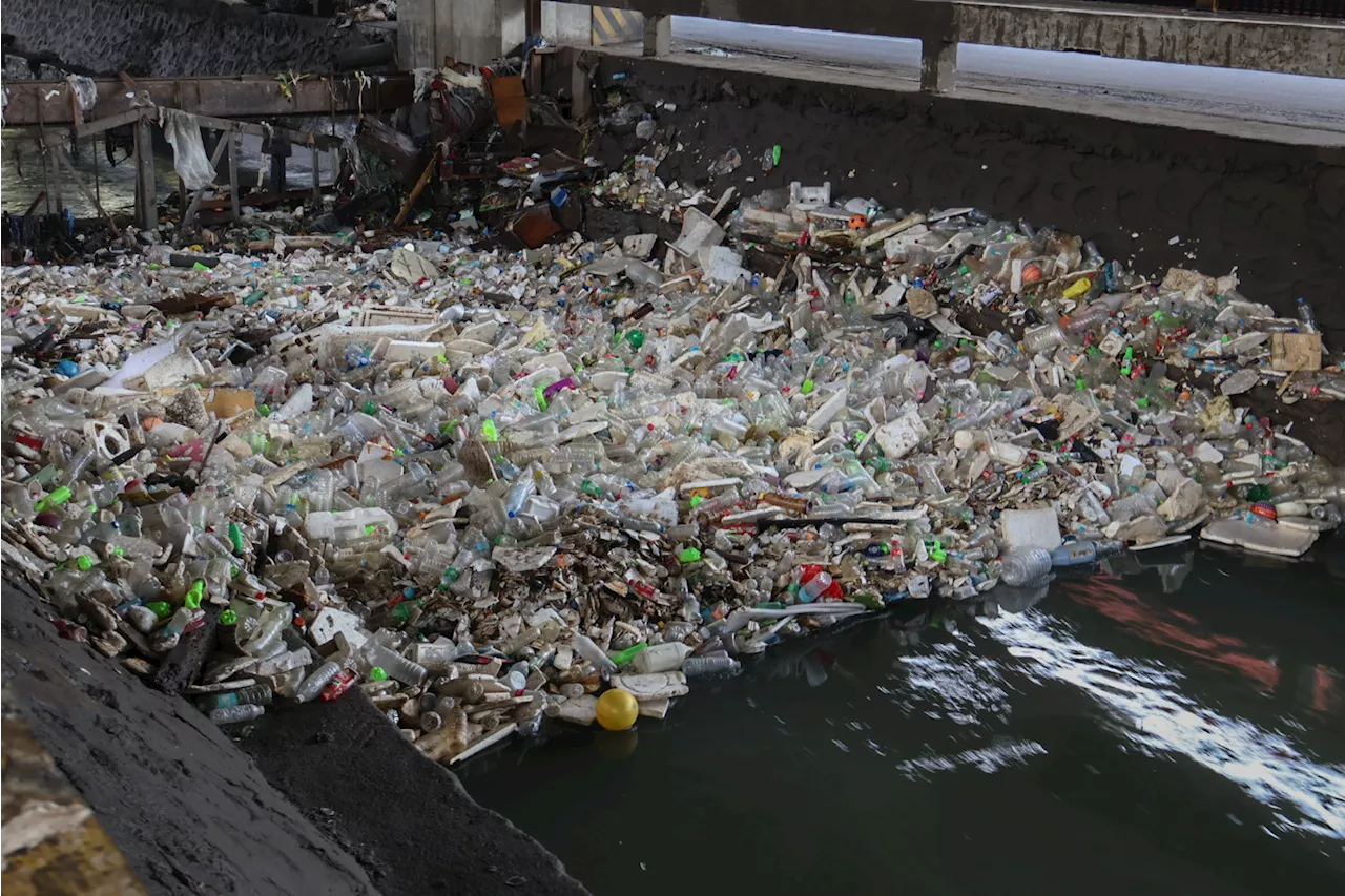 Plastic pollution ‘grave and growing’ health threat—Lancet
