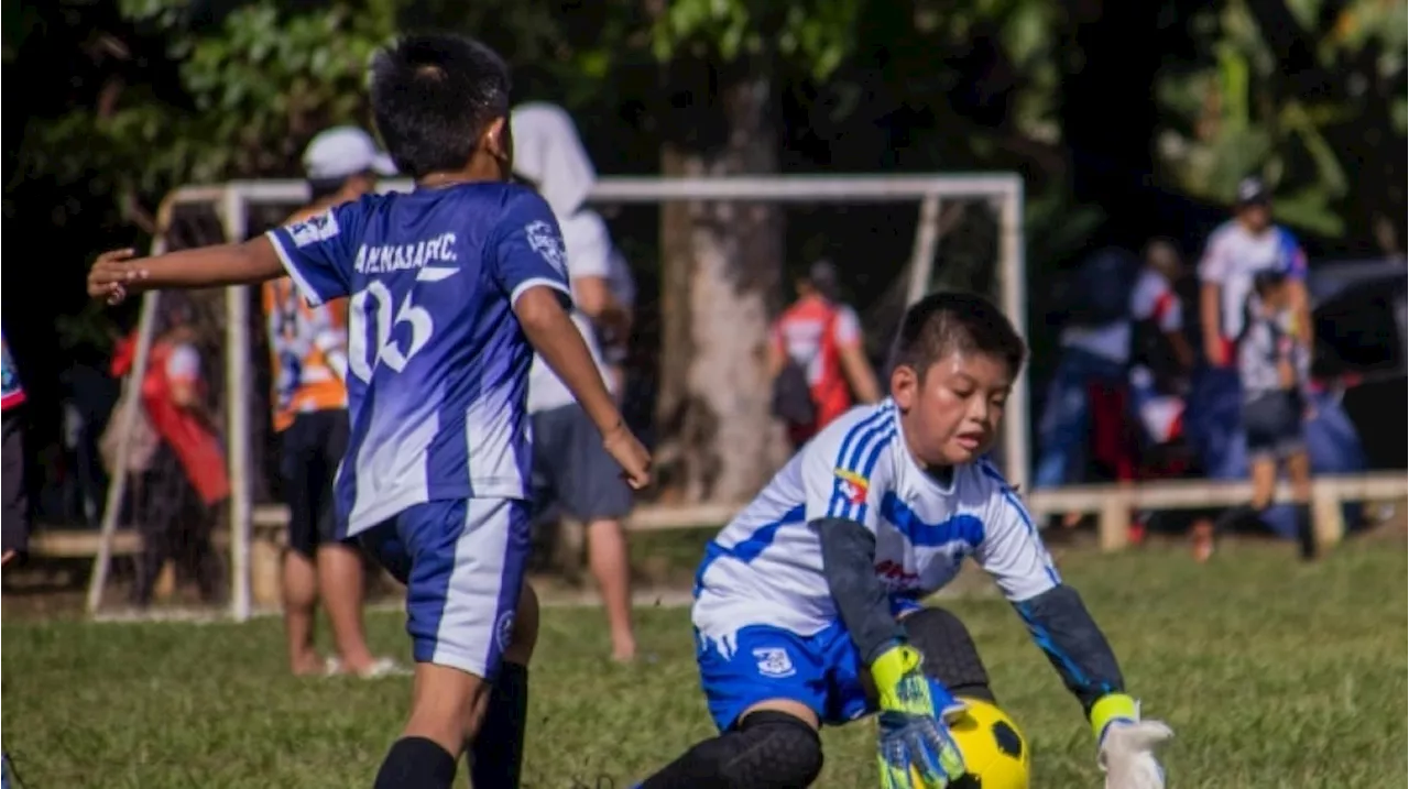 Potensi Sepak Bola Grassroot, Tak Hanya Jaring Talenta tapi Dorong Industri Olahraga