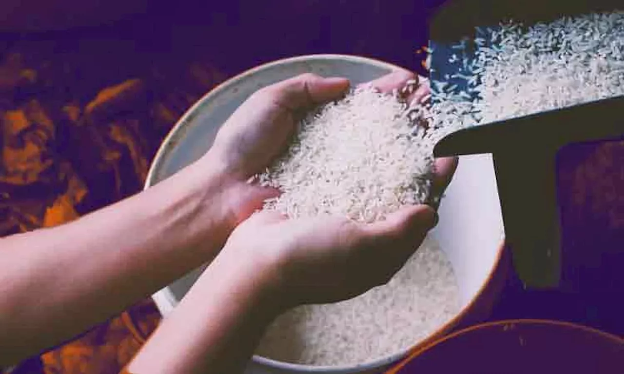 Baste questions P20-rice implementation