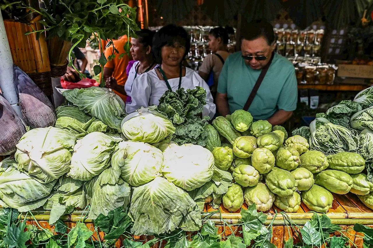 Tabo sa Kapitolyo gibuksan