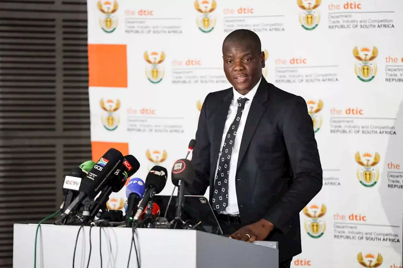 SA’s efforts to repair US ties undermined internally, says Lamola amid tariff fallout