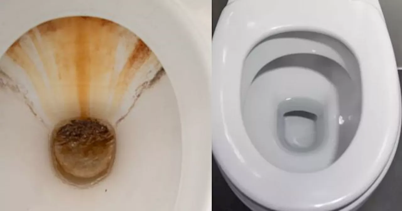 NI VINAGRE NI BICARBONATO: el TRUCO para LIMPIAR el SARRO y las MANCHAS rosas del inodoro