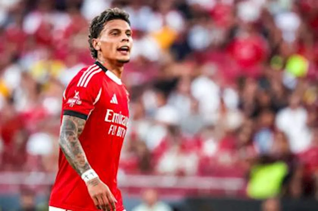 Richard Ríos genera impacto en la interna de Benfica: revelan aporte