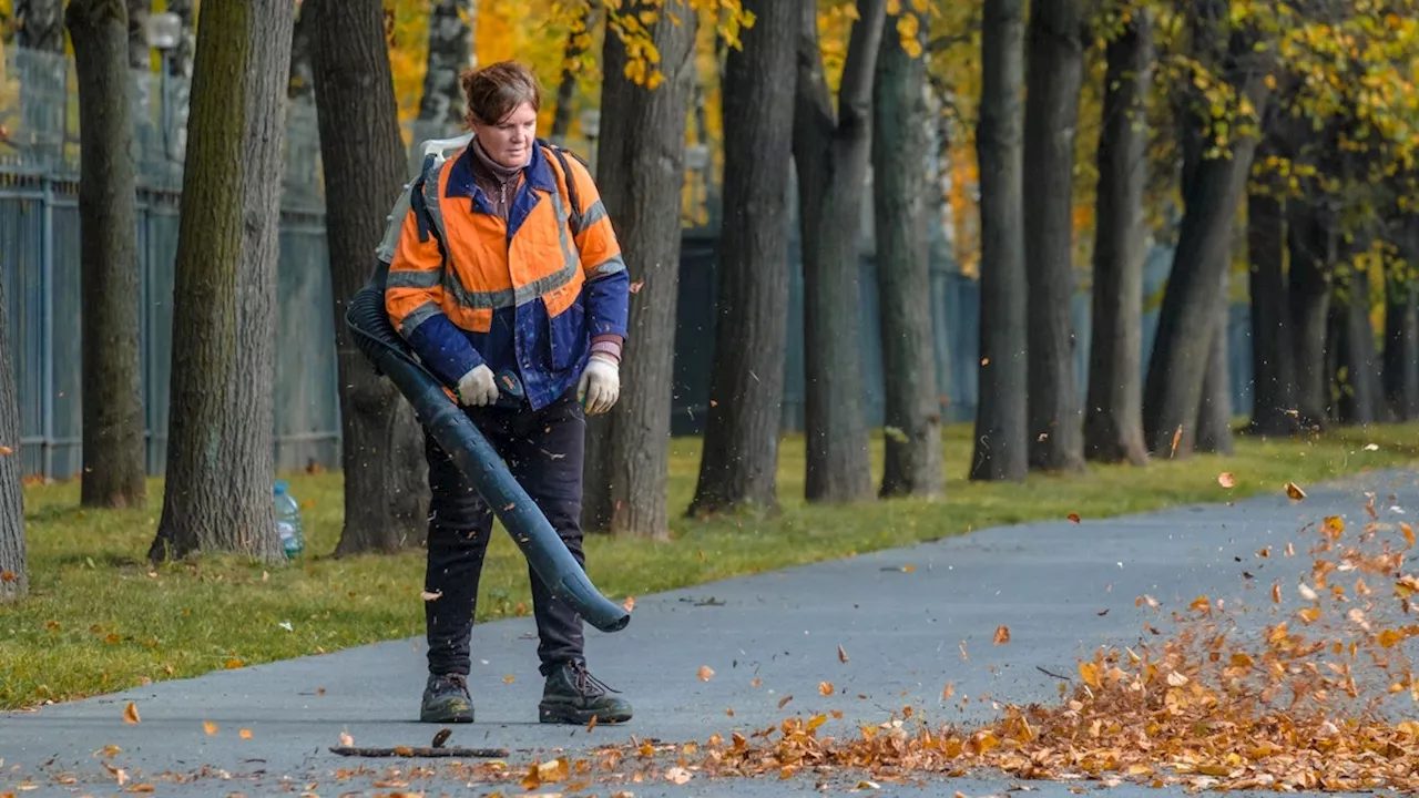  Schweizer Stadt streitet über Laubbläser-Verbot