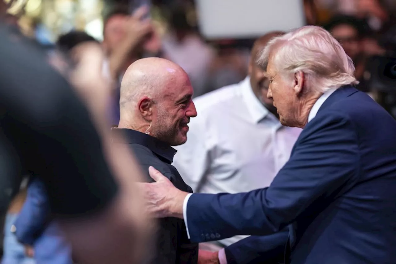 MAGA satte ekspresfart på konspirations-samfundet. AI fuldender det