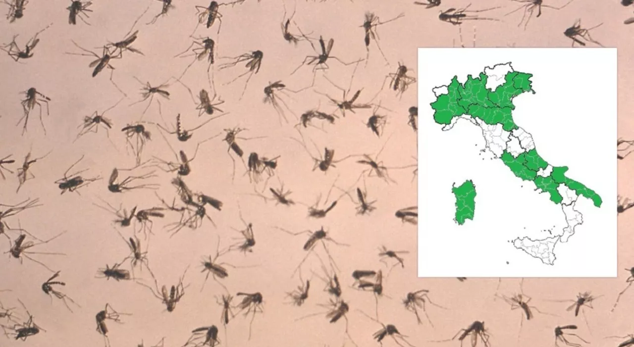 West Nile, tre morti in un giorno: nel Lazio 21 nuovi casi, la mappa aggiornata dei contagi nelle Regioni
