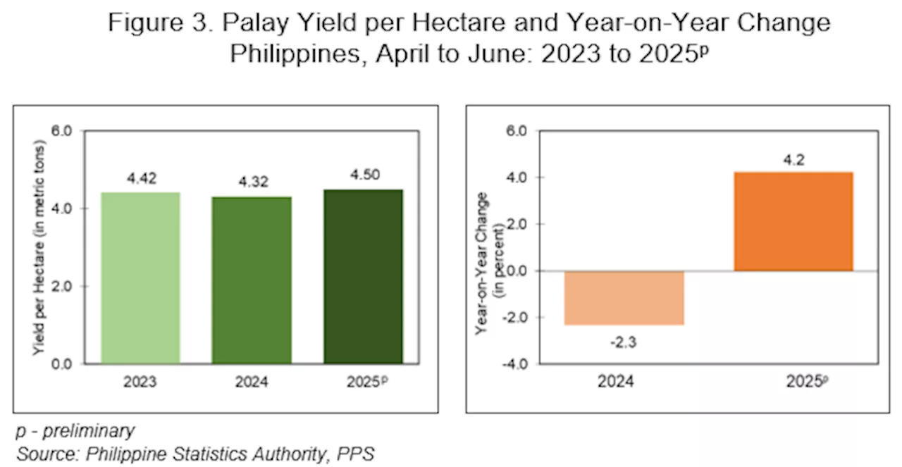 Rice yield per hectare climbed to 38-year high
