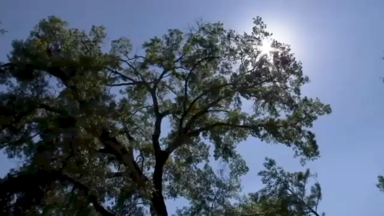 The science behind types of heat, difference in exercising in humid versus dry heat
