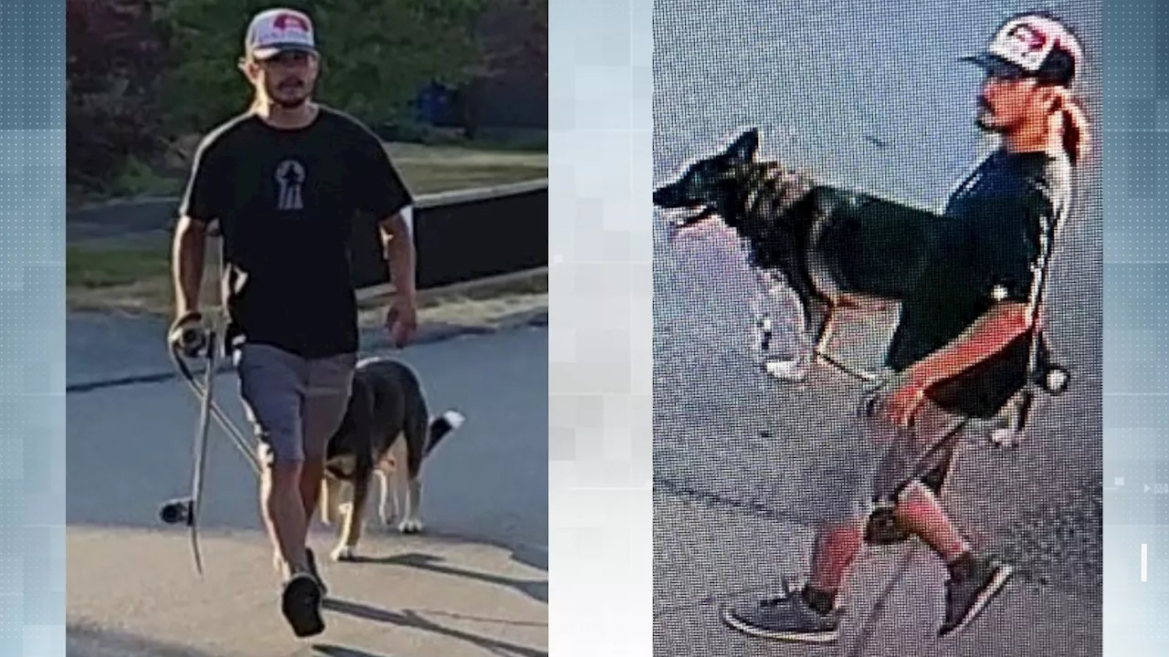 Nanaimo RCMP seeks suspect who allegedly punched, kicked his dog