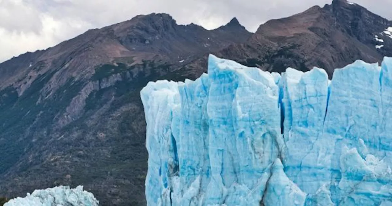 El descubrimiento del siglo en el Calafate | Científicos argentinos identificaron un gen clave para quienes su
