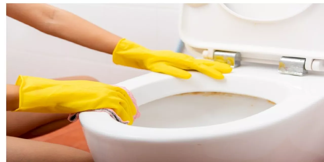 Put dette i dit toilet og se så magien ske: Dit toilet vil skinne som aldrig før - Dagens
