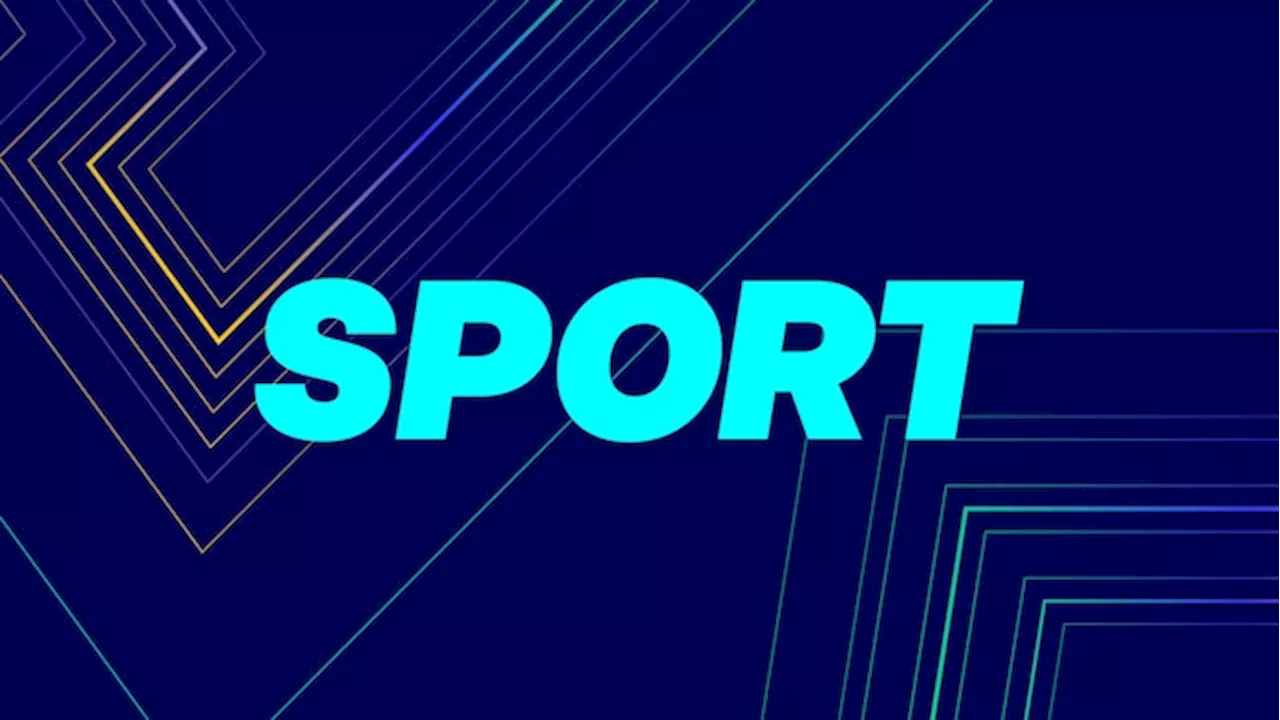 Flagermus står i vejen for Aalborg Håndbolds ønske om større parkeringsplads | Kort sport