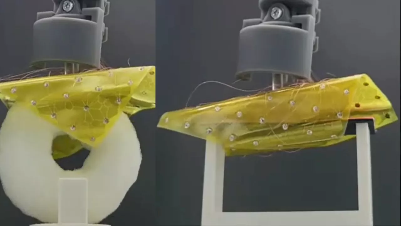 Shape-shifting robotic sheet crawls, folds, and grips with zero mechanical hinges