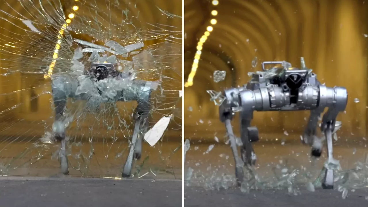 Video: China firm unveils glass-shattering robot dog that nails perfect backflips