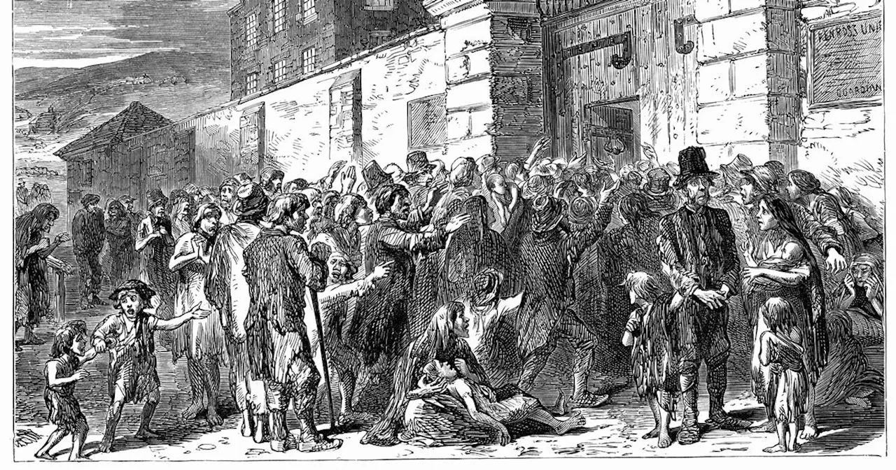 Research examines impact of Great Irish Famine on survivors' height