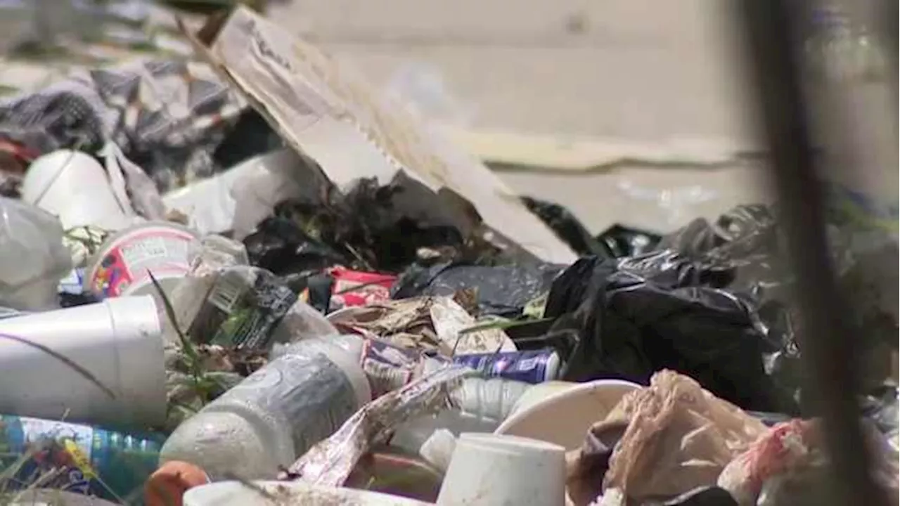 Illegal dumping site in The Heights cleaned up after months of complaints