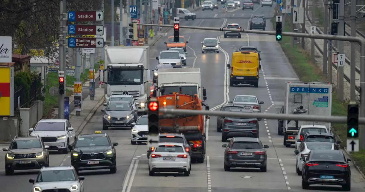 Forscher: Feinstaub belastet Plazenta rascher als gedacht