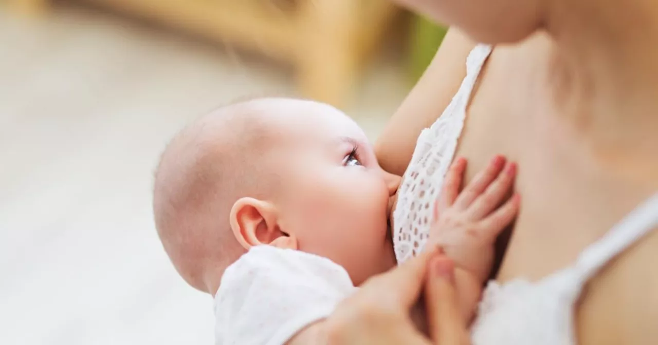 Sind nicht gestillte Kinder häufiger krank? 6 Stillmythen im Check