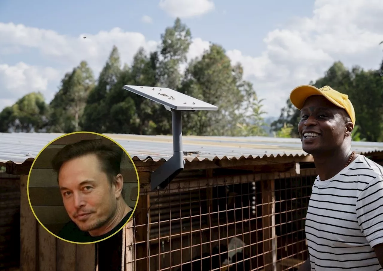 Left behind? Somalia secures Starlink – South Africans react