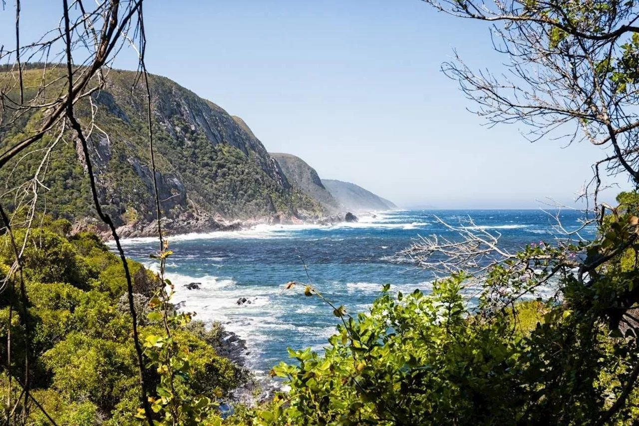 Where forest meets the sea: Coastal woodland escapes in SA