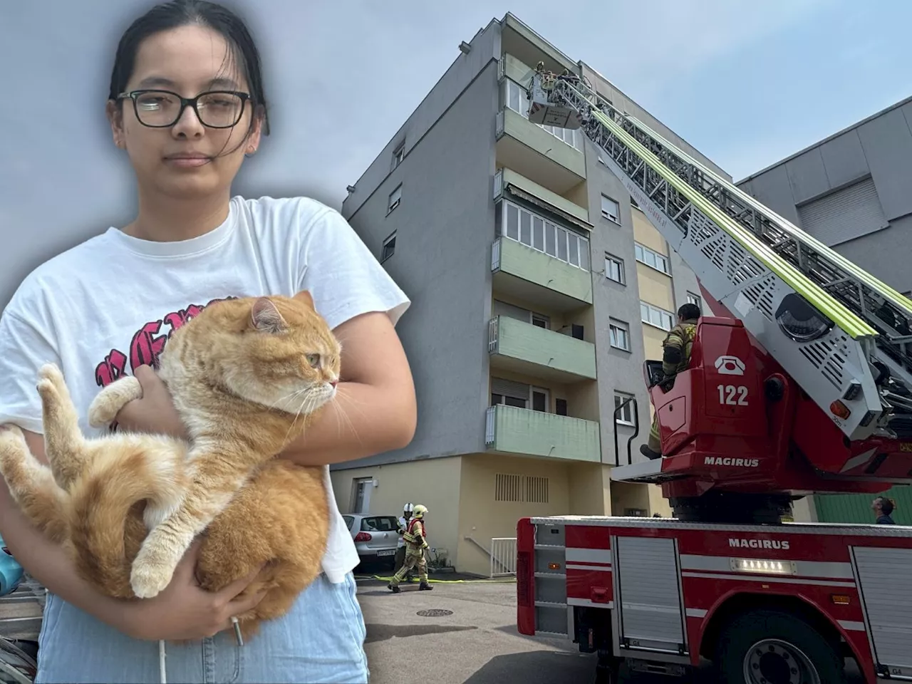 Hochhaus in Lustenau evakuiert: Studentin Vanessa bringt Kater 'Cola' in Sicherheit