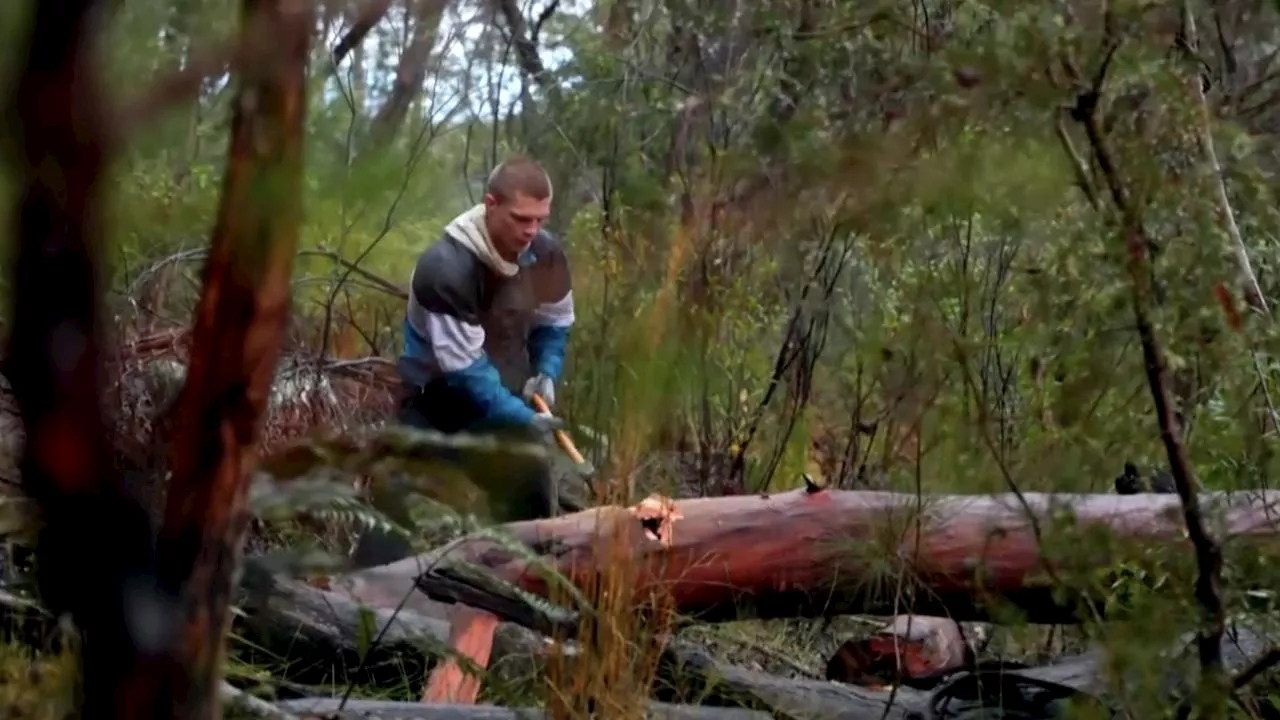 Butcher ... with an axe: Nikita goes wild with new training regime, makes big injury admission