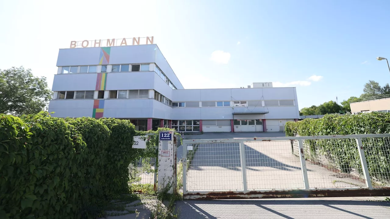  29 Bäume illegal gefällt – das kostet Konzern 330.000 €