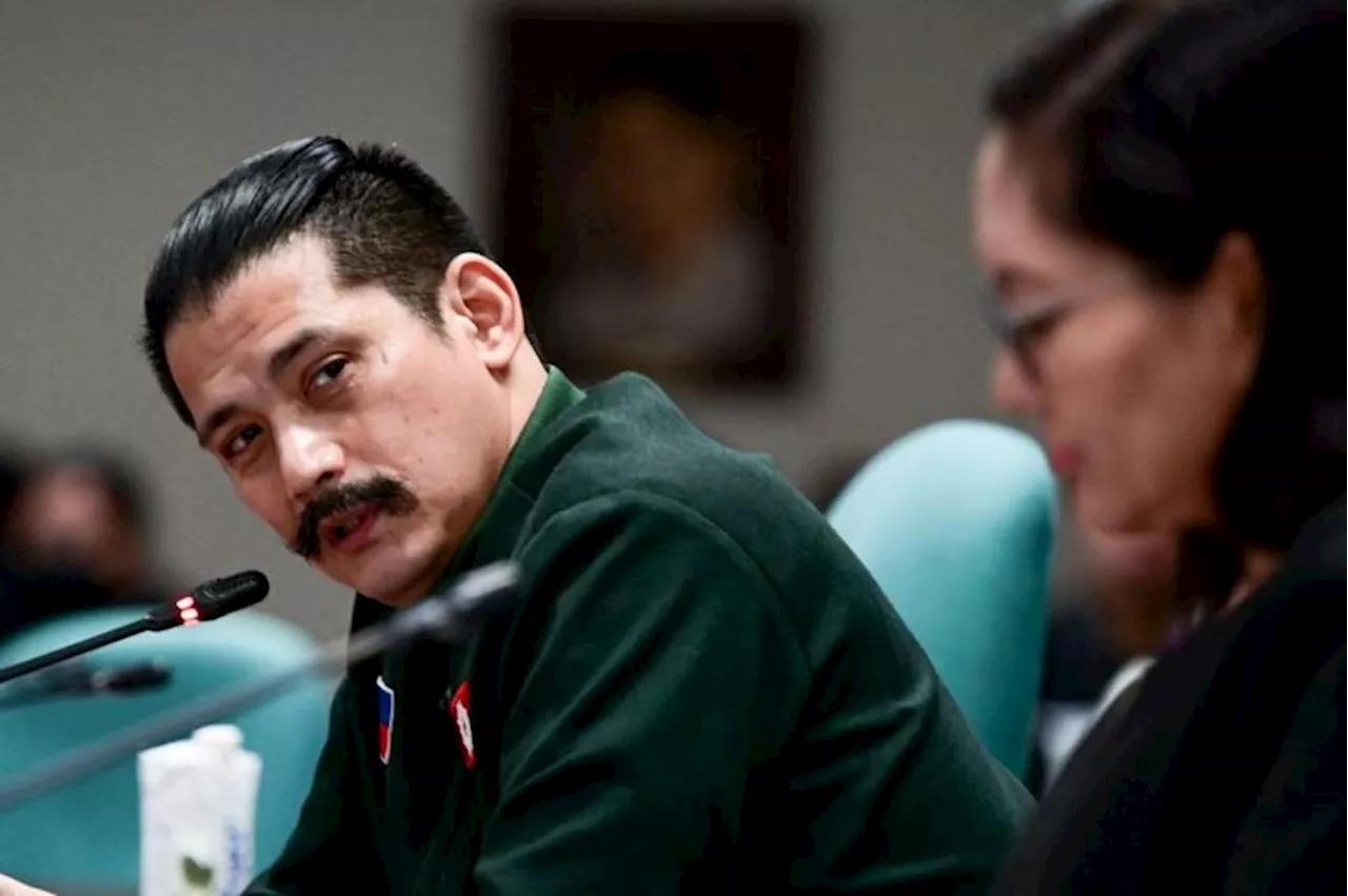 Cordillera IP women join child rights groups vs Padilla criminal age bill