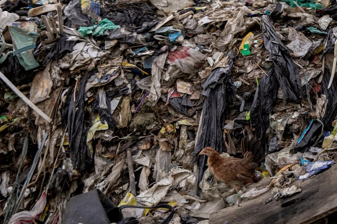 Trump administration memo urges countries to reject plastic production caps in UN treaty